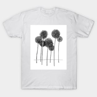 Dandelions T-Shirt